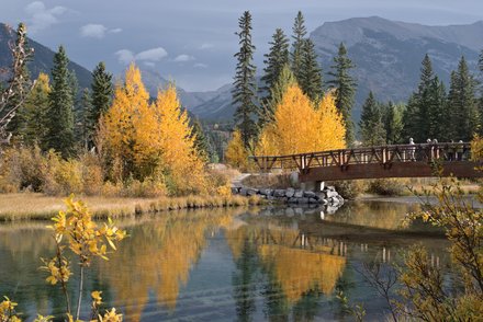 Policeman Creek Trail